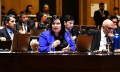 Sixto Fotografías. Sociedad. Cámara de Diputados - Última sesión de la Cámara: Misiones reguló la equinoterapia como actividad terapéutica