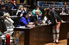 Foto de la galería: Última sesión de la Cámara: Misiones reguló la equinoterapia como actividad terapéutica