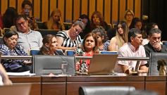 Foto de la galería: Última sesión de la Cámara: Misiones reguló la equinoterapia como actividad terapéutica