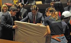 Foto de la galería: Última sesión de la Cámara: Misiones reguló la equinoterapia como actividad terapéutica