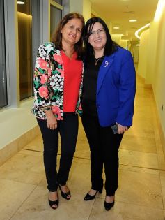 Foto de la galería: Última sesión de la Cámara: Misiones reguló la equinoterapia como actividad terapéutica