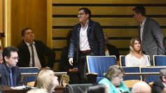 Foto de la galería: Última sesión de la Cámara: Misiones reguló la equinoterapia como actividad terapéutica