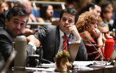 Foto de la galería: Última sesión de la Cámara: Misiones reguló la equinoterapia como actividad terapéutica