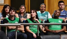 Foto de la galería: Última sesión de la Cámara: Misiones reguló la equinoterapia como actividad terapéutica