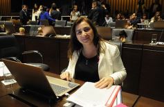 Foto de la galería: Última sesión de la Cámara: Misiones reguló la equinoterapia como actividad terapéutica