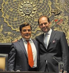 Foto de la galería: Última sesión de la Cámara: Misiones reguló la equinoterapia como actividad terapéutica