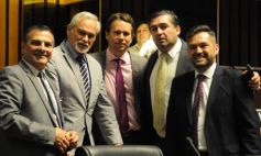 Foto de la galería: Última sesión de la Cámara: Misiones reguló la equinoterapia como actividad terapéutica