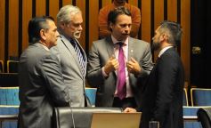 Foto de la galería: Última sesión de la Cámara: Misiones reguló la equinoterapia como actividad terapéutica