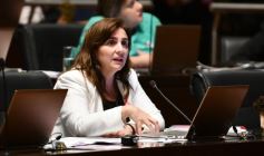 Foto de la galería: Última sesión de la Cámara: Misiones reguló la equinoterapia como actividad terapéutica