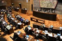 Foto de la galería: Última sesión de la Cámara: Misiones reguló la equinoterapia como actividad terapéutica