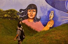 Foto de la galería: Un festival de lujo para inaugurar el mural más grande del mundo en Posadas