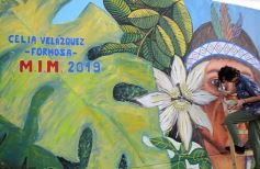 Foto de la galería: Un festival de lujo para inaugurar el mural más grande del mundo en Posadas