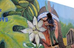 Foto de la galería: Un festival de lujo para inaugurar el mural más grande del mundo en Posadas