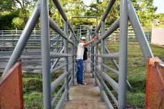 Foto de la galería: Inauguraron el esperado frigorífico en San José