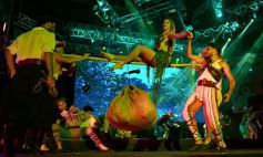Foto de la galería: Tercera noche del Festival: Mensú de Oro para el gran Alcibiades Alarcón