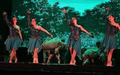 Foto de la galería: Tercera noche del Festival: Mensú de Oro para el gran Alcibiades Alarcón