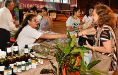 Foto de la galería: Misiones y el verano: esperan más turistas para esta temporada