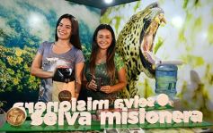 Foto de la galería: Misiones y el verano: esperan más turistas para esta temporada