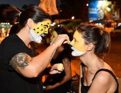 Foto de la galería: Misiones y el verano: esperan más turistas para esta temporada