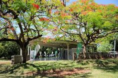 Foto de la galería: Yacyretá entrega el Centro de Visitantes para el Jardín Botánico de Posadas