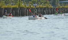 Foto de la galería: Una vuelta por La Isla del Medio, paraíso natural frente a la costa de Posadas