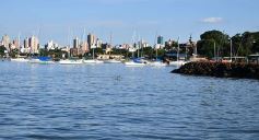 Foto de la galería: Una vuelta por La Isla del Medio, paraíso natural frente a la costa de Posadas