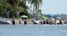 Foto de la galería: Una vuelta por La Isla del Medio, paraíso natural frente a la costa de Posadas