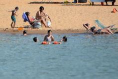 Foto de la galería: Una vuelta por La Isla del Medio, paraíso natural frente a la costa de Posadas