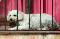 Foto de la galería: Los héroes anónimos que están en la calle todos los días pese a la pandemia
