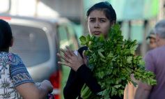 Foto de la galería: Menos compradores y más tensión en el Mercado Central