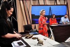 Foto de la galería: Nueva temporada de Te Digo Más, por Canal 12