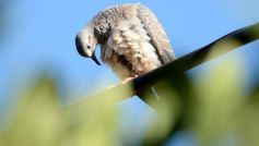 Foto de la galería: Un mes de cuarentena, paisaje cambiado en Posadas