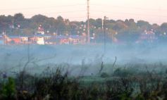 Foto de la galería: Incendio de malezas inundó de humo a la ciudad de Posadas