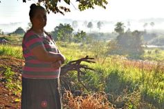 Foto de la galería: Incendio de malezas inundó de humo a la ciudad de Posadas