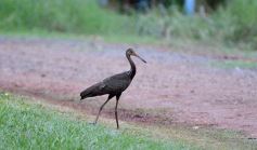 Foto de la galería: Postales de esta nueva fase de la cuarentena en Posadas
