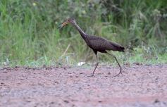 Foto de la galería: Postales de esta nueva fase de la cuarentena en Posadas