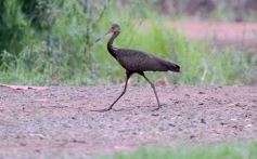 Foto de la galería: Postales de esta nueva fase de la cuarentena en Posadas