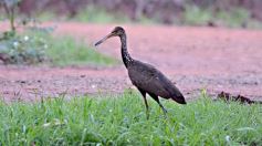 Foto de la galería: Postales de esta nueva fase de la cuarentena en Posadas