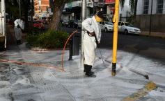 Foto de la galería: Postales de esta nueva fase de la cuarentena en Posadas