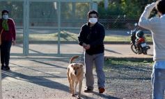 Foto de la galería: El IMUSA volvió a la actividad, con estricto protocolo y priorizando las urgencias