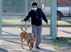 Foto de la galería: El IMUSA volvió a la actividad, con estricto protocolo y priorizando las urgencias