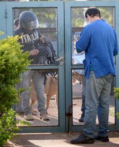 Foto de la galería: El IMUSA volvió a la actividad, con estricto protocolo y priorizando las urgencias