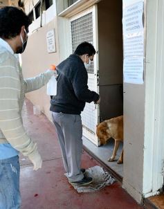 Foto de la galería: El IMUSA volvió a la actividad, con estricto protocolo y priorizando las urgencias