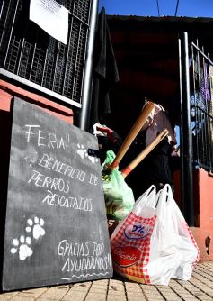 Foto de la galería: Los que le ponen el pecho al coronavirus en Posadas
