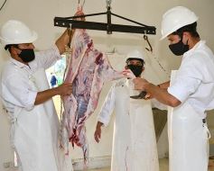 Foto de la galería: Se puso en marcha el Frigorífico Municipal de San José para la faena de animales pequeños