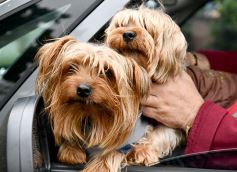 Foto de la galería: La gente amiga de la capital provincial, en estas postales de junio