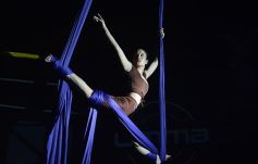 Foto de la galería: Primer Festival Solidario Cultura X Trabajo