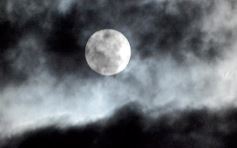 Foto de la galería: Fuimos testigos de distintos festejos y acá te lo mostramos