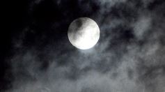 Foto de la galería: Fuimos testigos de distintos festejos y acá te lo mostramos