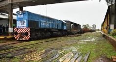 Foto de la galería: Con la llegada de la primera formación se reactivó el servicio de trenes de carga en Misiones